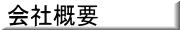 Corporate outline
